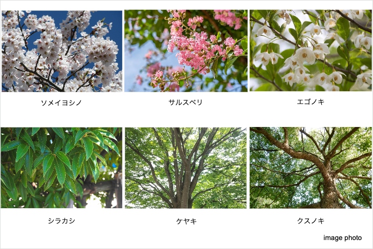 アクアヴィスタの植栽イメージ画像